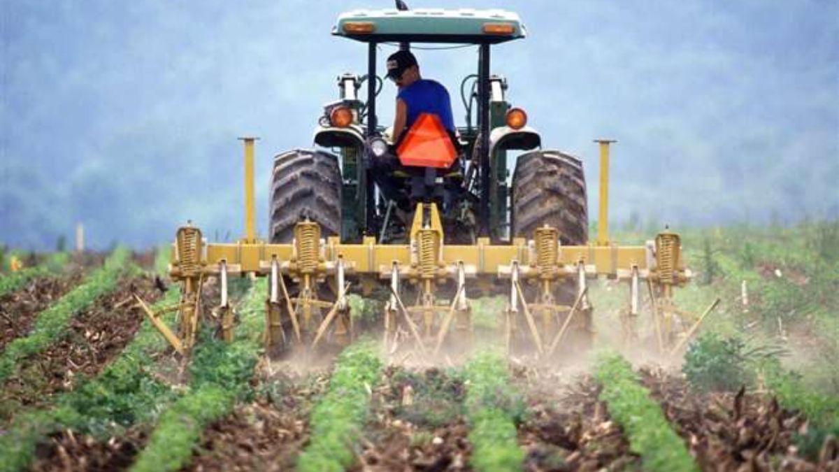 Pradhan Mantri Fasal Bima Yojana: Farmers Get Rs 1.25 Lakh Crore In Claims Till Oct 31